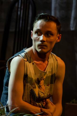 VLAD BÎRZANU