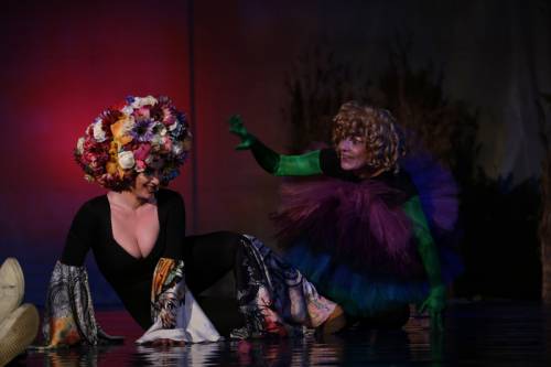 VISUL UNEI NOPŢI DE VARĂ