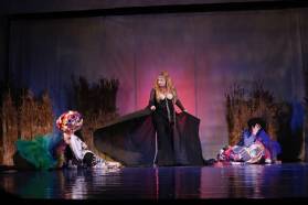 VISUL UNEI NOPŢI DE VARĂ