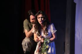 VISUL UNEI NOPŢI DE VARĂ